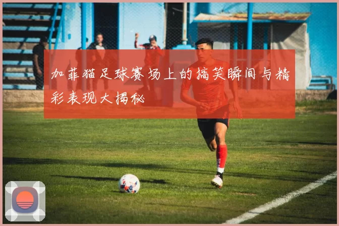 加菲猫足球赛场上的搞笑瞬间与精彩表现大揭秘