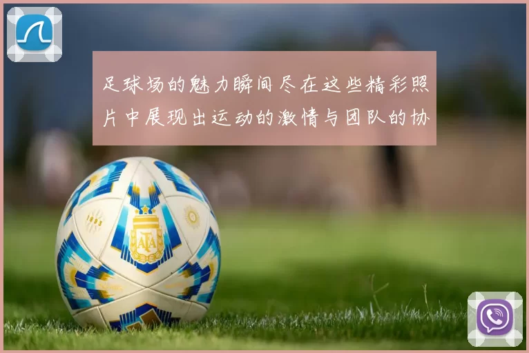 足球场的魅力瞬间尽在这些精彩照片中展现出运动的激情与团队的协作