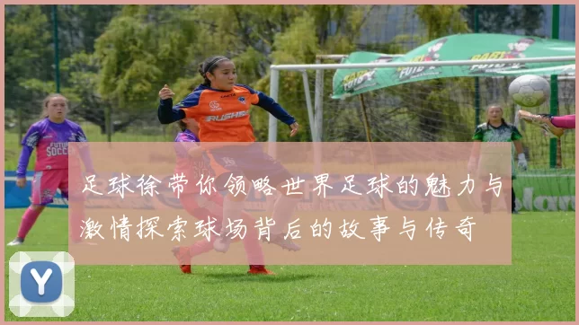 足球徐带你领略世界足球的魅力与激情探索球场背后的故事与传奇