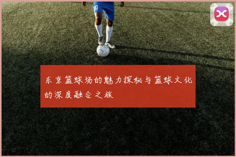 东京篮球场的魅力探秘与篮球文化的深度融合之旅